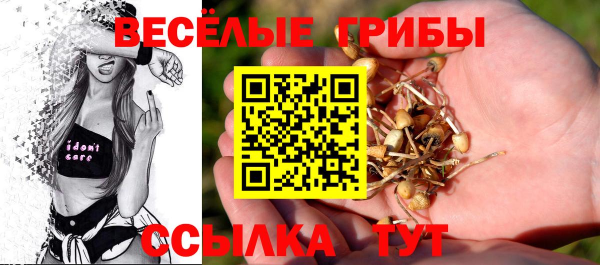 Галлюциногенные грибы MAGIC MUSHROOMS Бийск