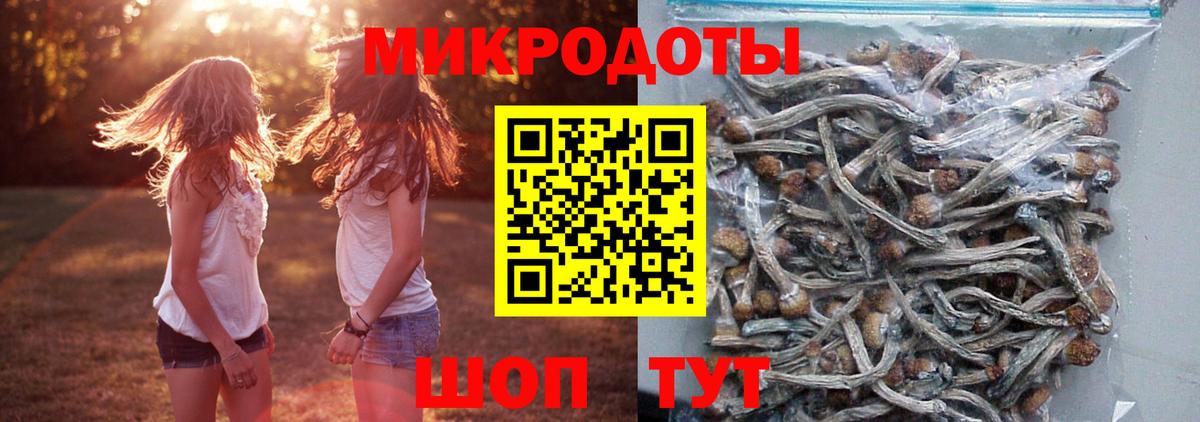 Галлюциногенные грибы Magic Shrooms  Псилоцибиновые грибы Psilocybe  Бийск  Вход с VPN 